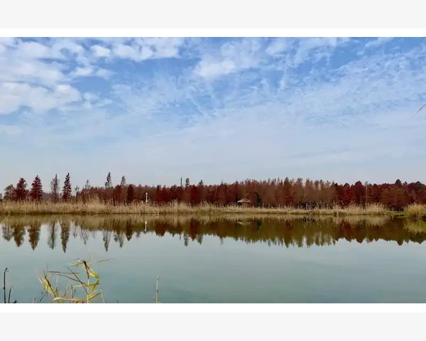 化疗后病人吃什么好？让我们来了解一下！