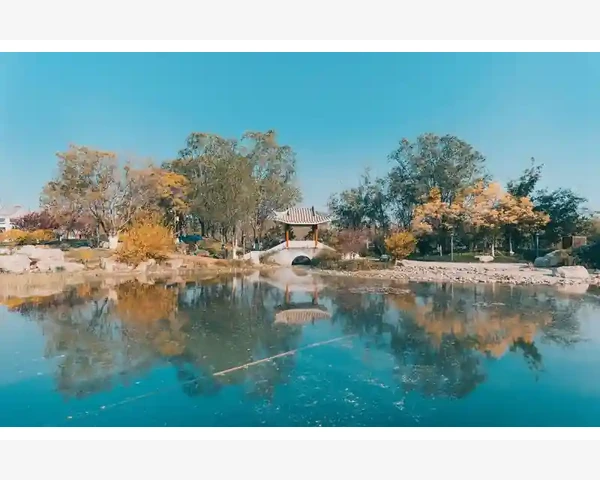 脾胃虚弱，更适合陈皮还是黄芪？